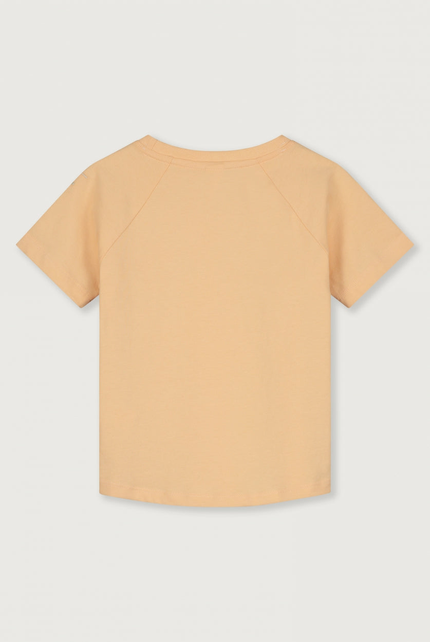 products/Gray-Label_crewneck-tee_apricot_Back2.jpg